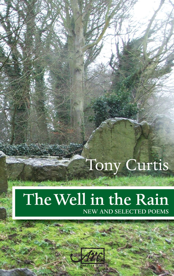 Tony Curtis, The Well in the Rain, Book Cover