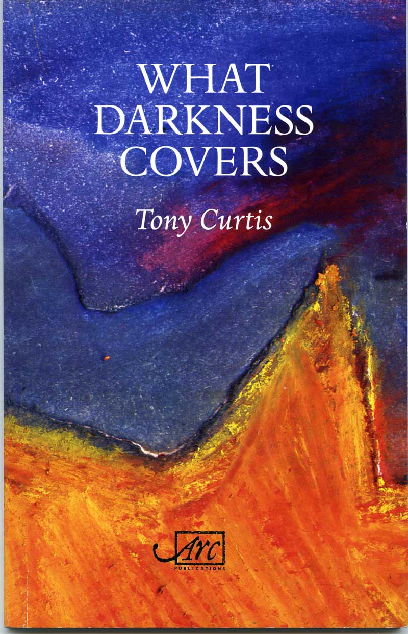 Tony Curtis, What Darkness Covers, Book Cover